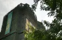 金阳伦敦西区实景图